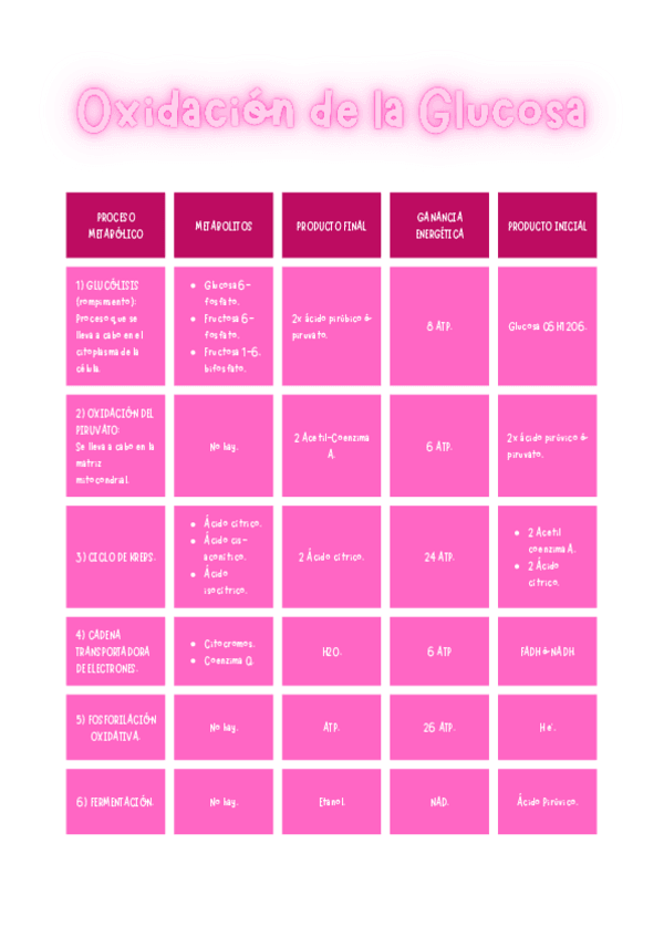 Miniatura del documento Oxidacion-de-la-Glucosa.pdf