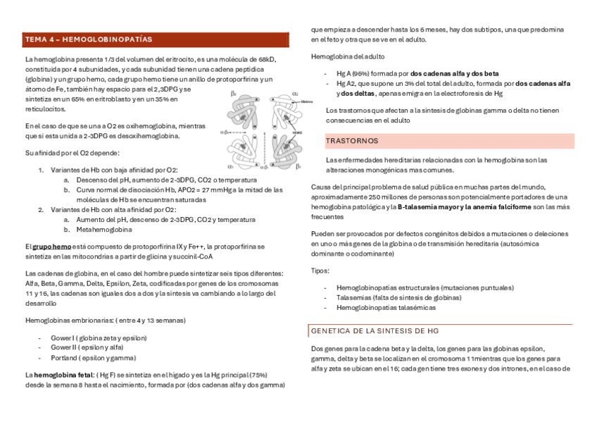 Miniatura del documento TEMA-4-HEMOGLOBINOPATIAS.pdf