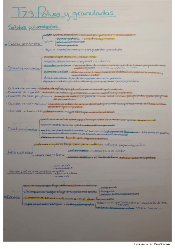 Miniatura del documento T-7.3.-Polvos-y-granulados.pdf