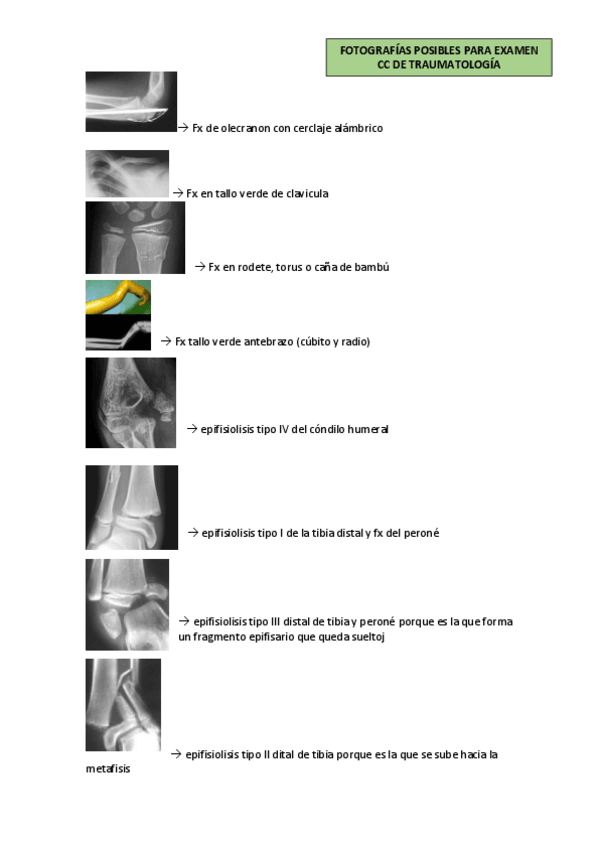 Miniatura del documento Fotos-examen-para-repasar.pdf
