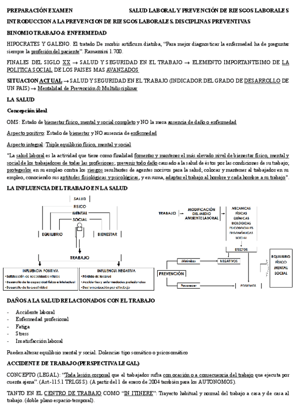Miniatura del documento INTRODUCCION-A-LA-PREVENCION-DE-RIESGOS-LABORALES.-DISCIPLINAS-PREVENTIVAS.pdf