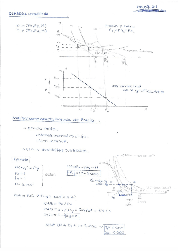 Miniatura del documento demanda-individual-y-intro-competencia-perfecta.pdf