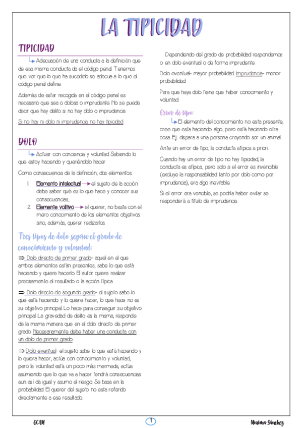 Miniatura del documento Tema-5-Tipicidad.pdf