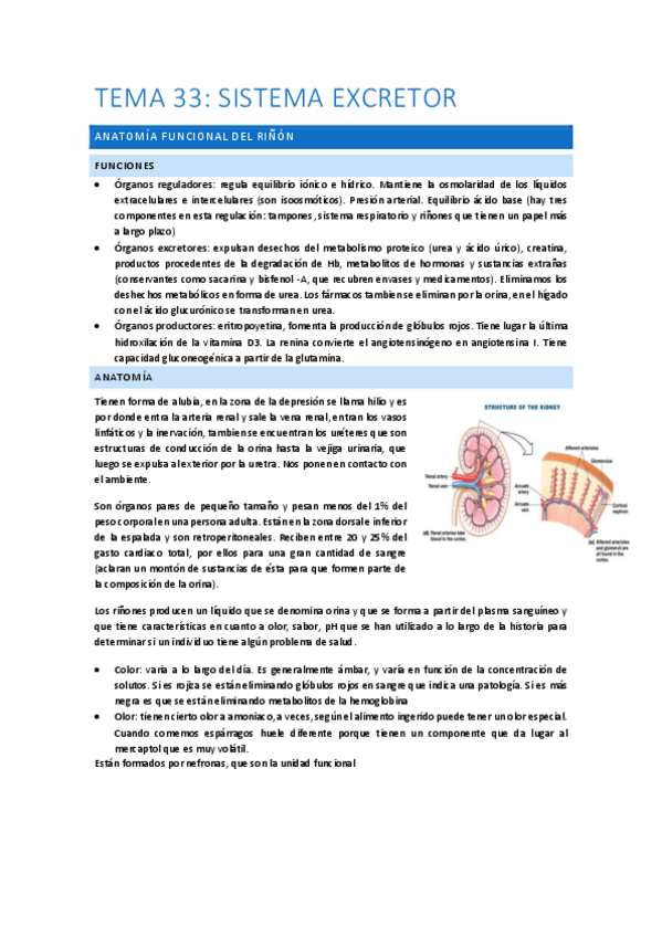 Miniatura del documento TEMAS-33-Y-34-EXCRETOR.pdf
