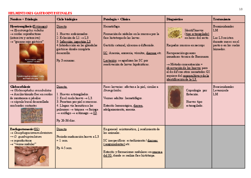 Miniatura del documento Helmintiosis-gastrointestinales-OK-tabla.pdf