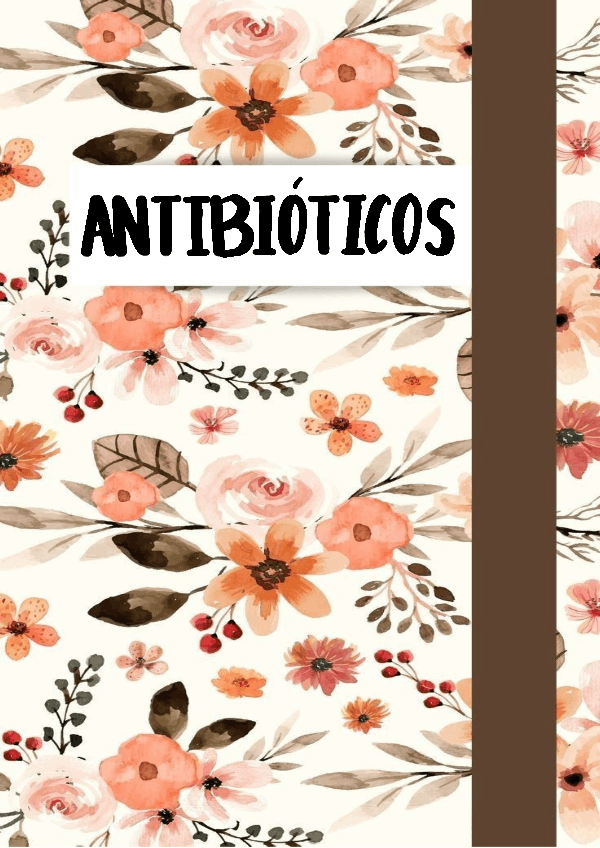 Miniatura del documento Antibioticos.pdf