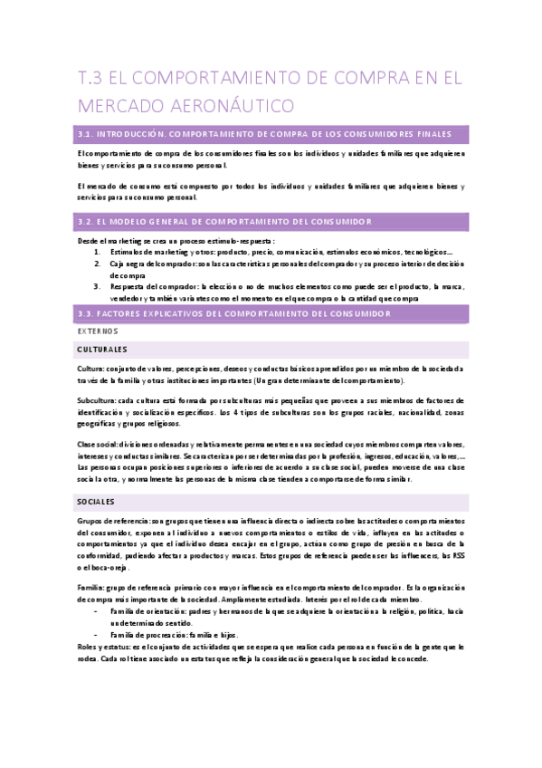 Miniatura del documento T.3-El-comportamiento-de-compra-en-el-mercado-aeronautico.pdf