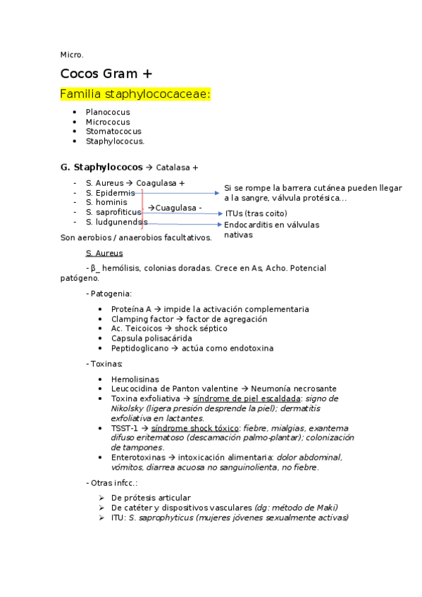 Miniatura del documento Microbiologia-1o-cuatri.docx