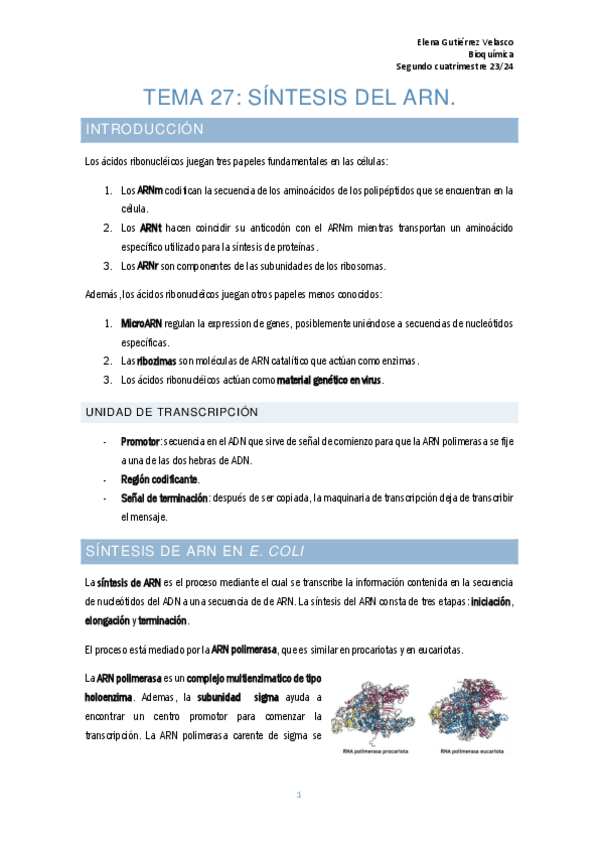 Miniatura del documento tema-27-sintesis-del-ARN.pdf