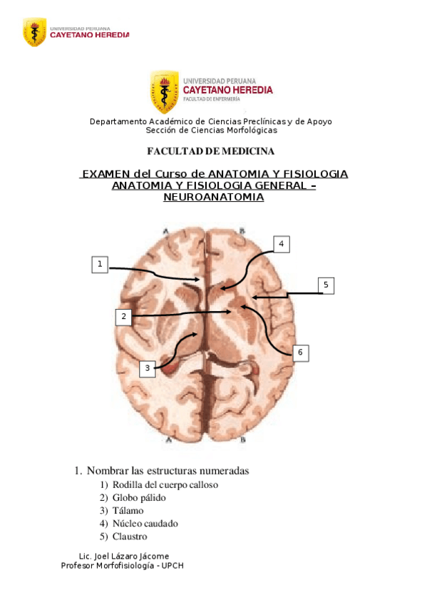 Miniatura del documento EXAMEN-NEURO.docx