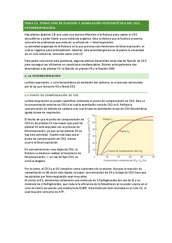 Miniatura del documento tema-11.pdf