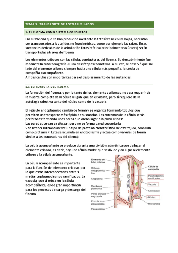 Miniatura del documento tema-5.pdf