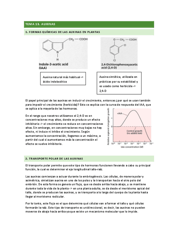 Miniatura del documento tema-13.pdf