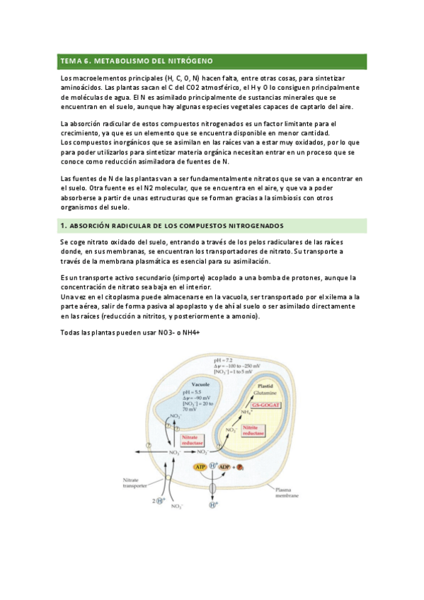 Miniatura del documento tema-6.pdf