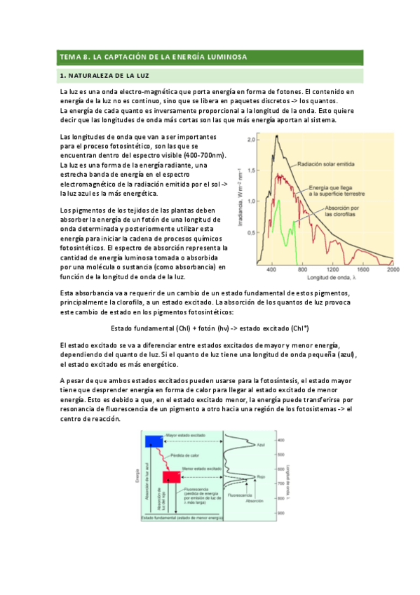 Miniatura del documento tema-8.pdf