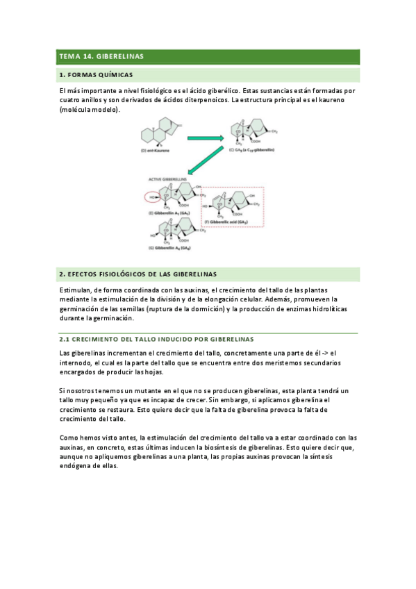 Miniatura del documento tema-14.pdf