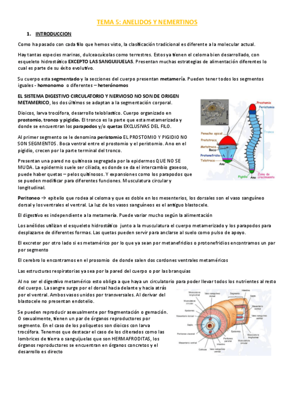 Miniatura del documento TEMA-5.pdf