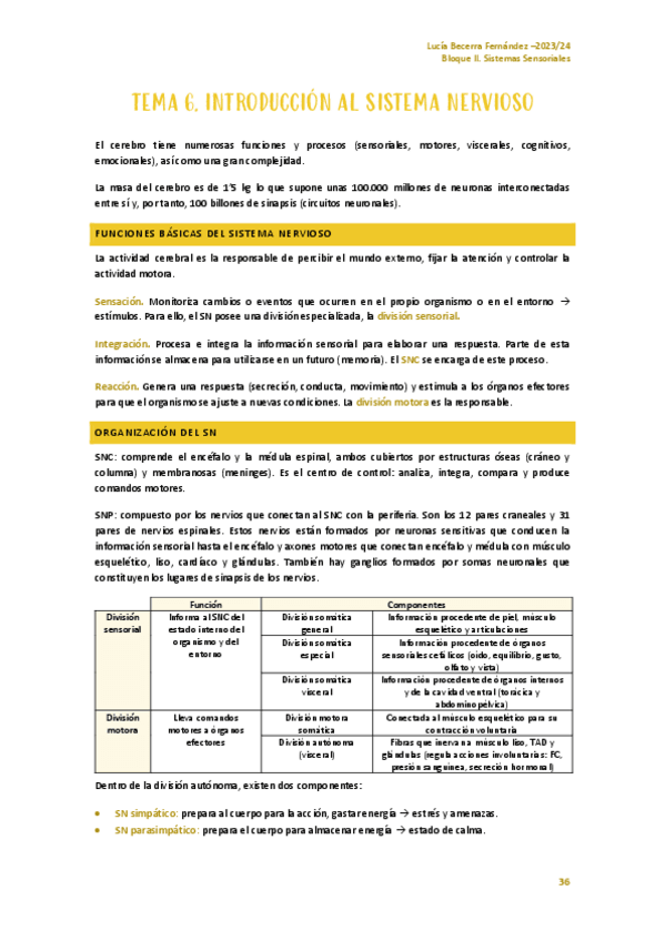 Miniatura del documento Bloque-IIa.-SISTEMAS-SENSORIALES.pdf
