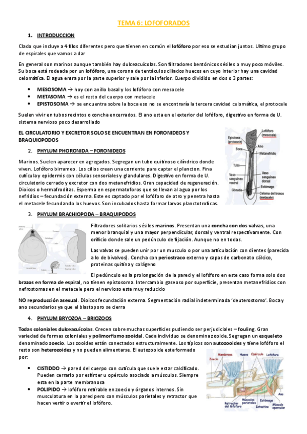 Miniatura del documento TEMA-6.pdf