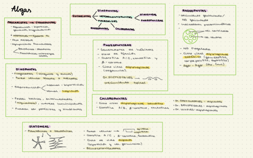 Miniatura del documento esquemas-resumen.pdf