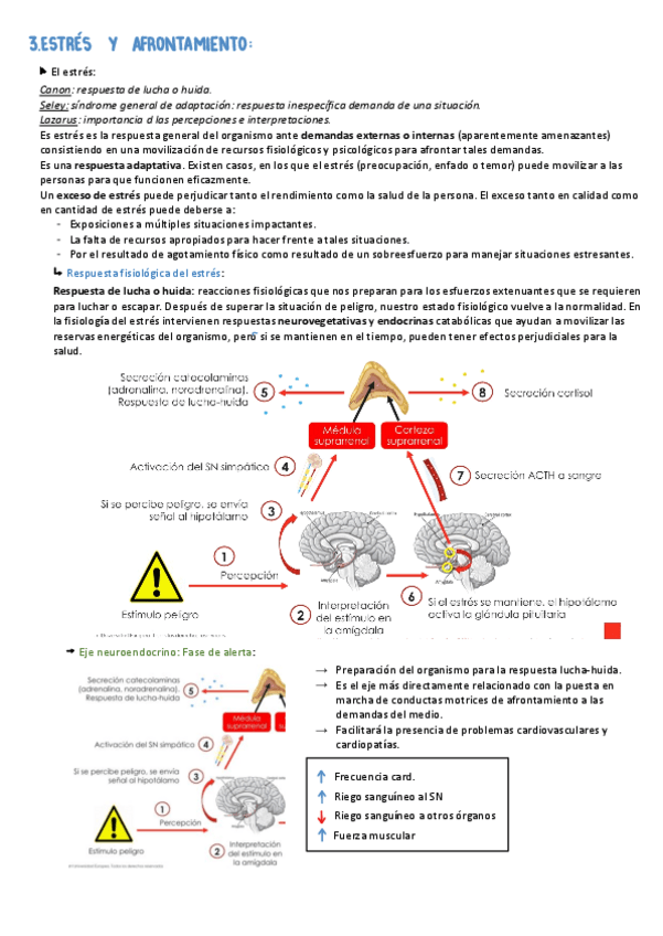 Miniatura del documento TEMA-3.pdf