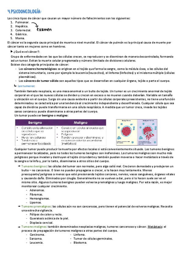 Miniatura del documento TEMA-4.pdf