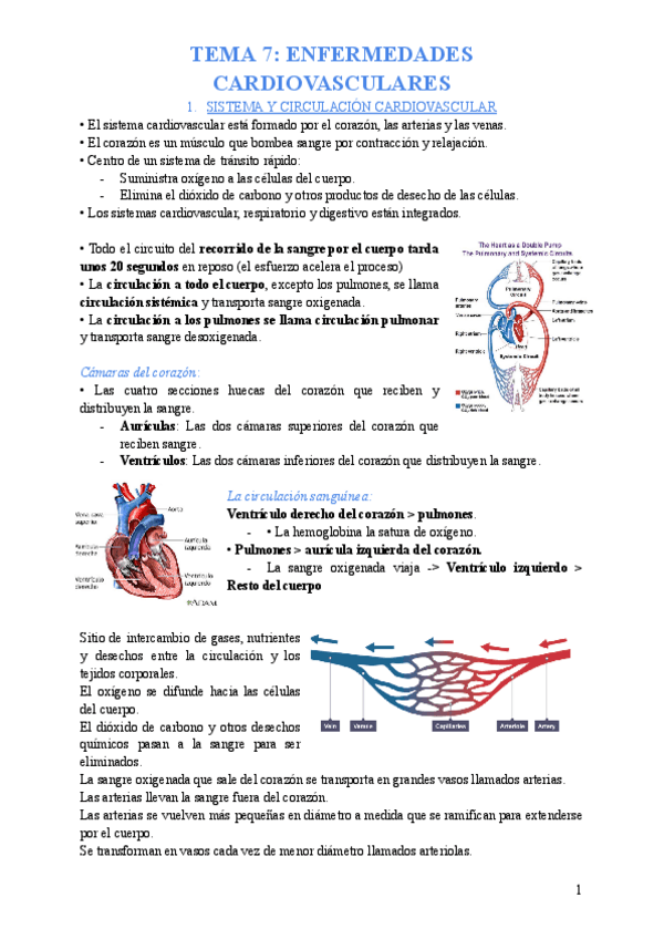 Miniatura del documento TEMA-6-SALUD.pdf