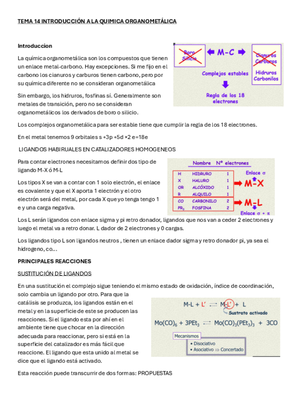 Miniatura del documento TEMA-14-Catalisis-completo-con-introduccion-2024.pdf
