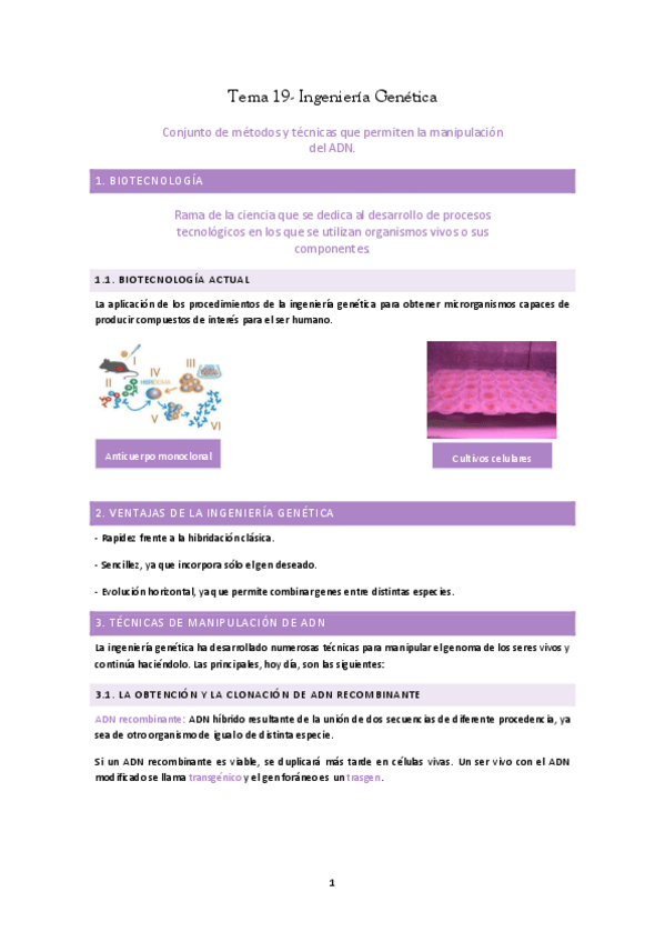 Miniatura del documento INGENIERIA-GENETICA.pdf