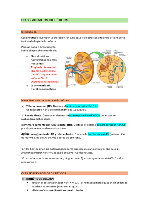Miniatura del documento Seminarios-farma-2-cuatri.pdf