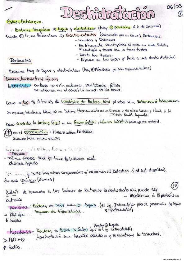 Miniatura del documento Deshidratacion.pdf