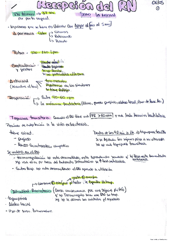 Miniatura del documento RecienNacido.pdf