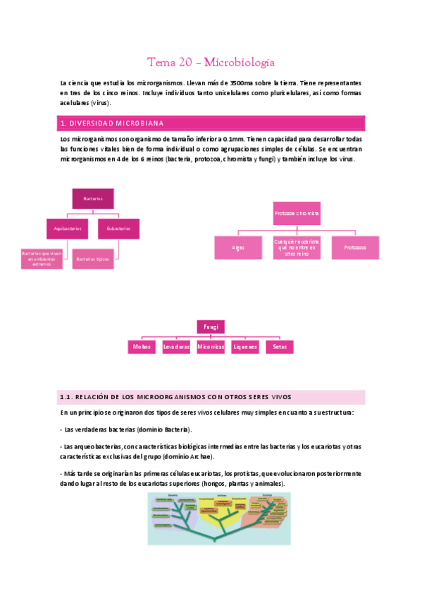 Miniatura del documento MICROBIOLOGIA.pdf