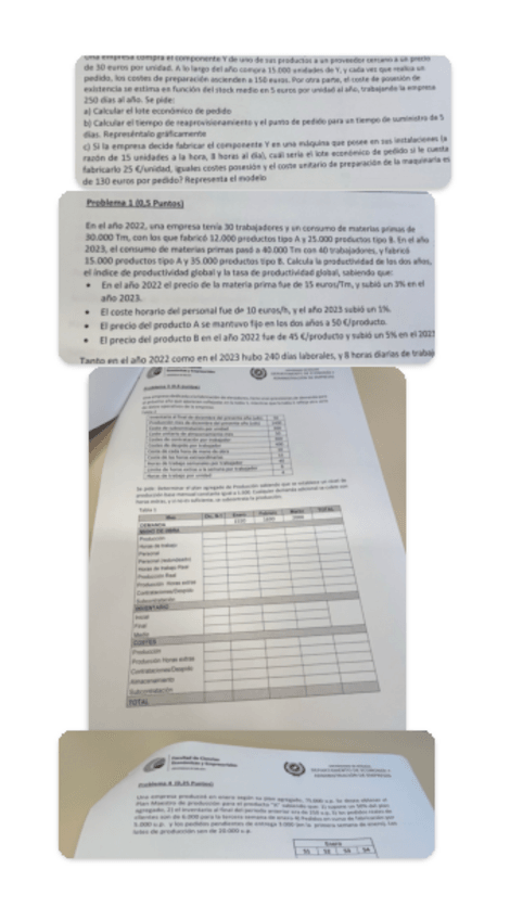 Miniatura del documento Examen-parcial-DPO-2024.pdf