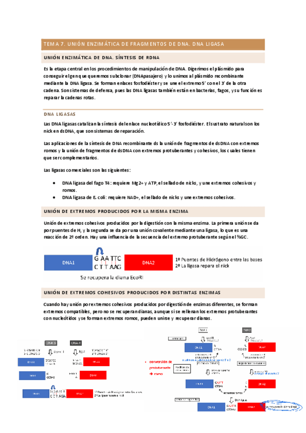 Miniatura del documento TEMA-7-apuntes.pdf