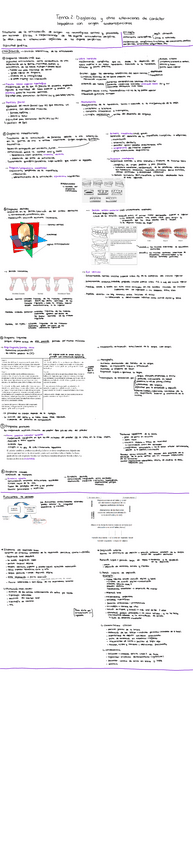 Miniatura del documento Tema-2.-Disglosias-y-otras-alteraciones-de-caracter-logopedico-con-origen-anatomofuncional.pdf