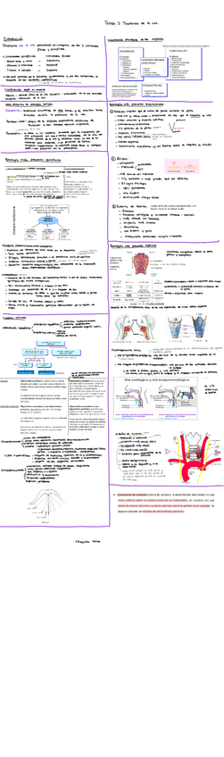 Miniatura del documento Tema-3.-Trastornos-de-le-voz.pdf