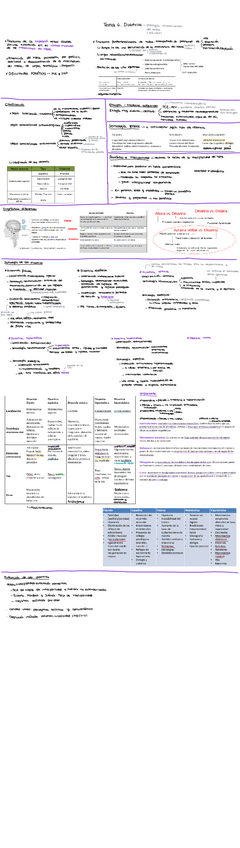 Miniatura del documento Tema-4.-Disartria.pdf