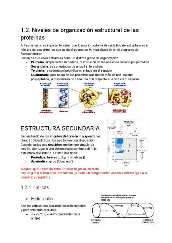 Miniatura del documento QIP-1.2.-Estructuras de las proteínas.pdf