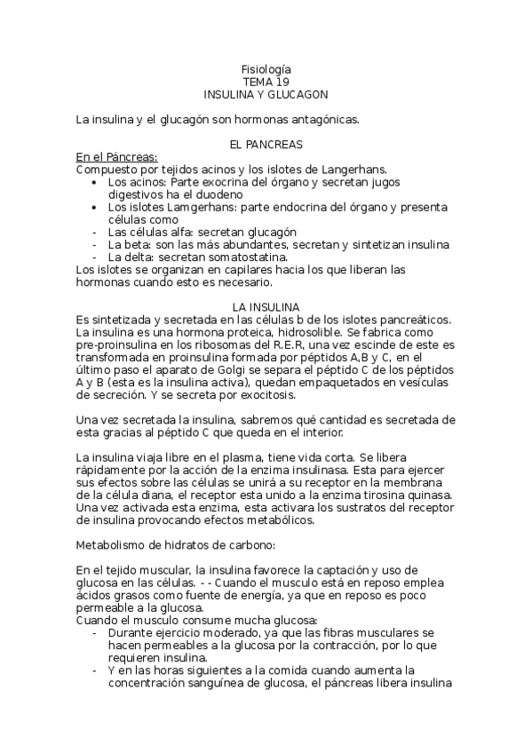 Miniatura del documento T19-Resumen.docx