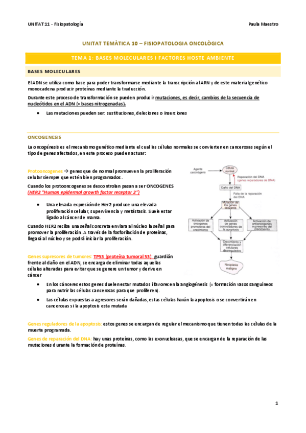 Miniatura del documento UNITAT-11.2-Fisiopatologia.pdf