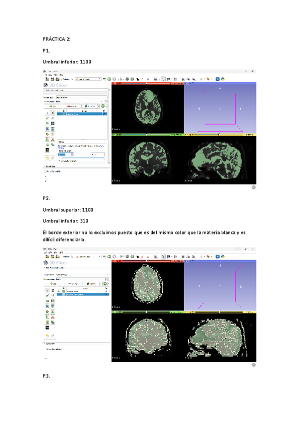 Miniatura del documento Practica-2.pdf