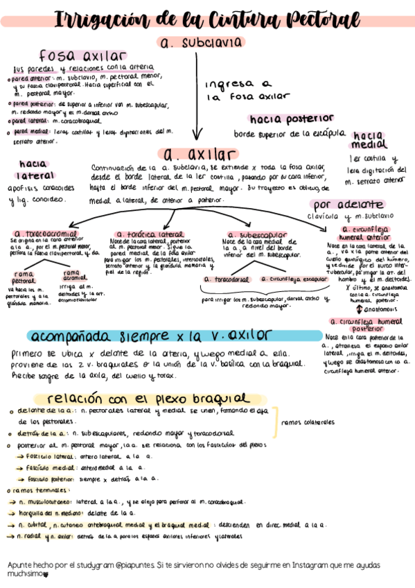 Miniatura del documento irrigacion-miembro-superior.pdf