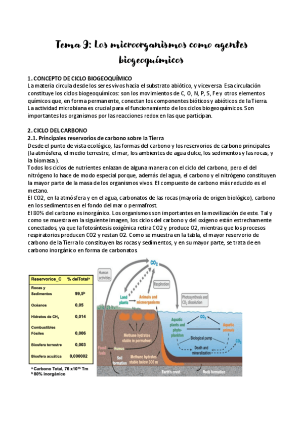 Miniatura del documento Microbiologia-temas-9-14.pdf