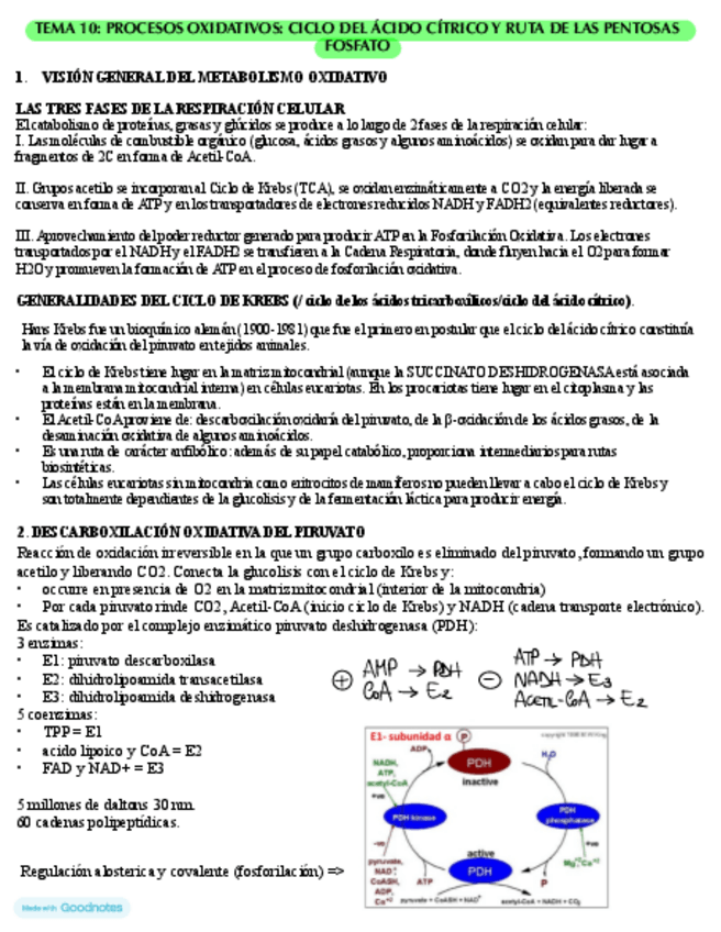 Miniatura del documento Bioquimica-T10.pdf