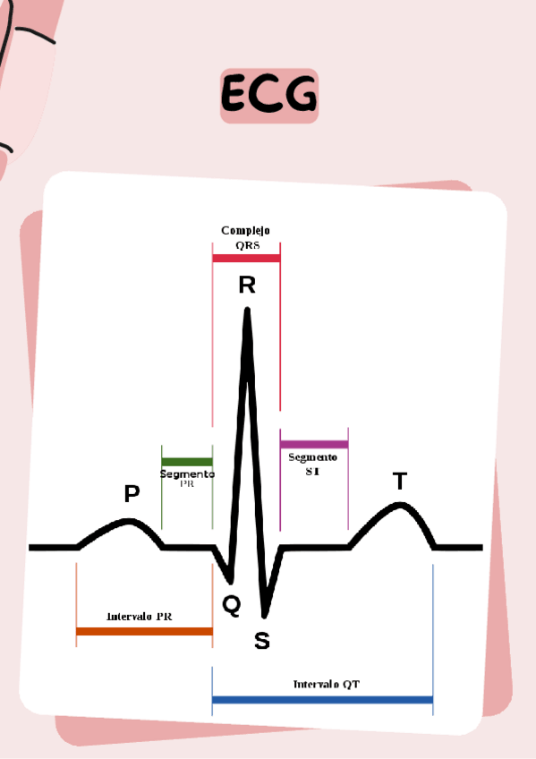 Miniatura del documento ECG.pdf