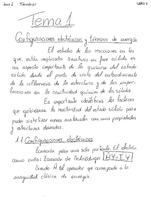 Miniatura del documento T 1 APUNTES Y SEMINARIO.pdf