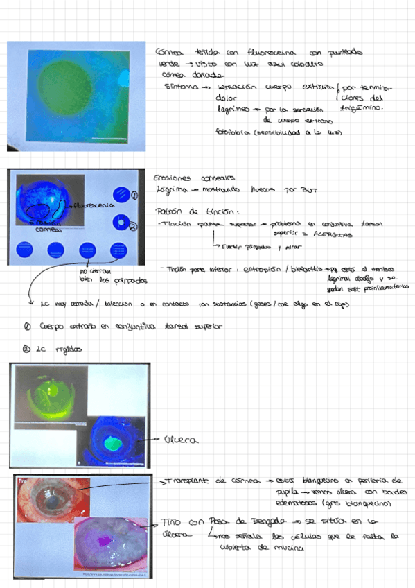 Miniatura del documento T4.pdf