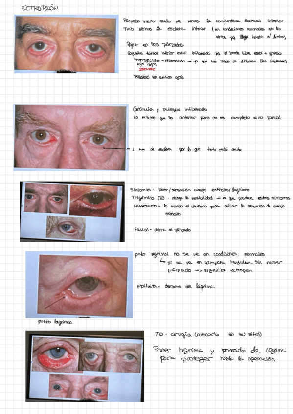 Miniatura del documento T2.pdf
