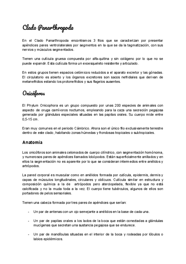 Miniatura del documento TEMA-12-Panartropodos.pdf.pdf